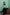 color:MINT