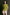 color:LIME