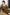 color:KHAKI BROWN