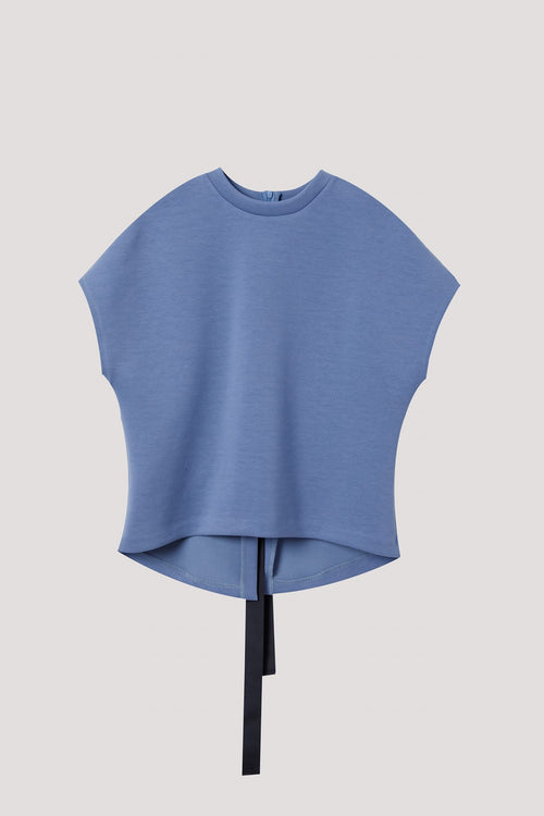 color:STEEL BLUE
