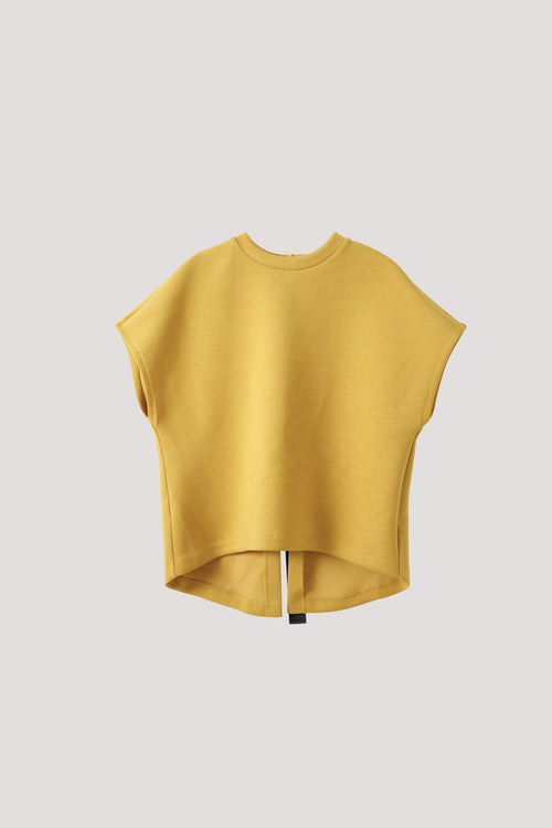 color:MUSTARD