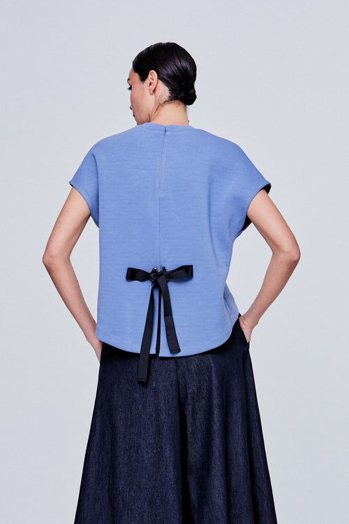 color:STEEL BLUE