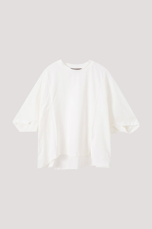 color:IVORY