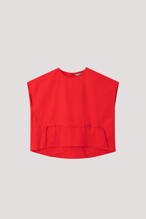 color:SCARLET