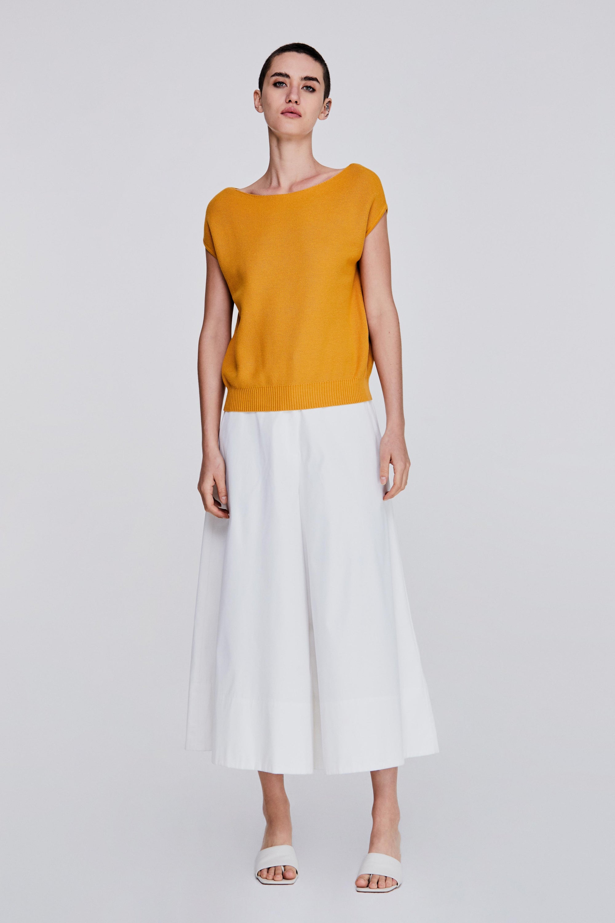 color:MUSTARD