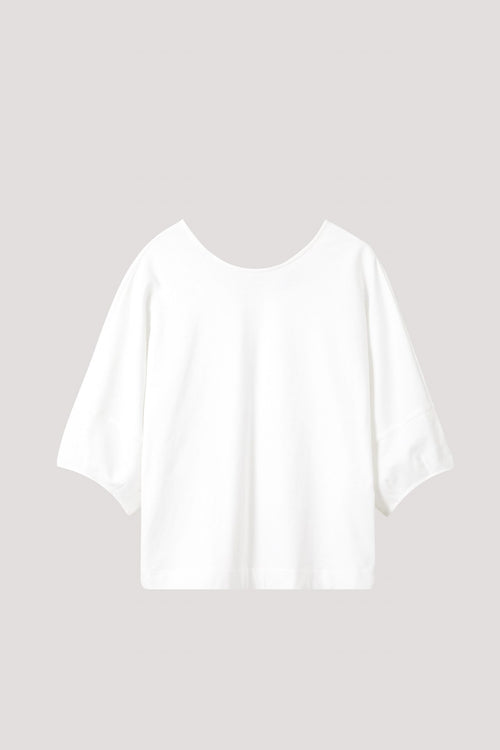 color:IVORY