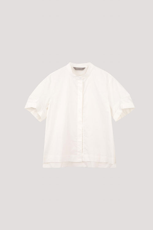 color:IVORY