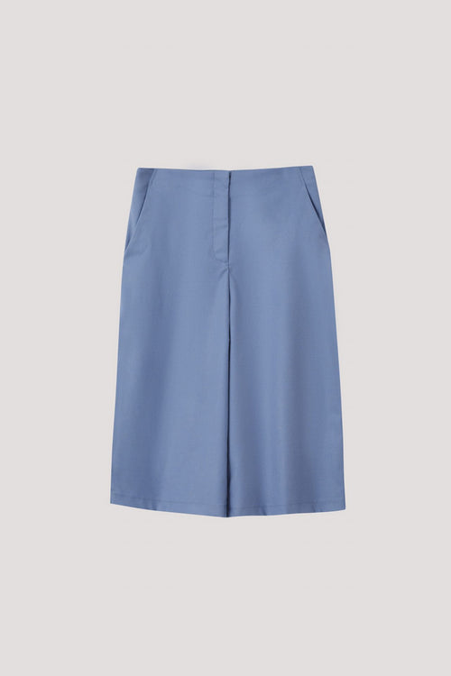 color:STEEL BLUE