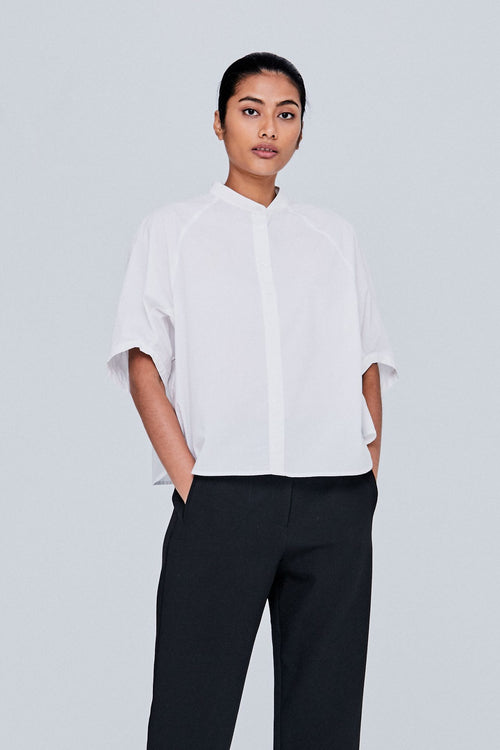color:IVORY