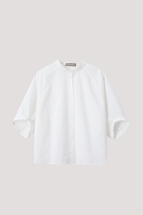 color:IVORY