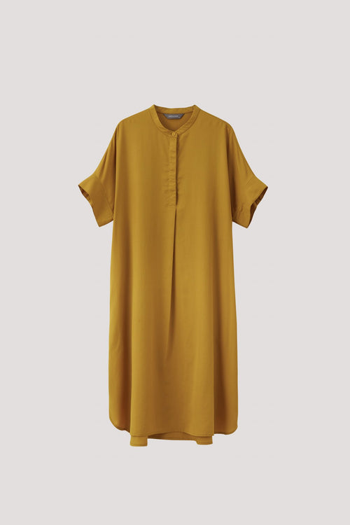 color:MUSTARD