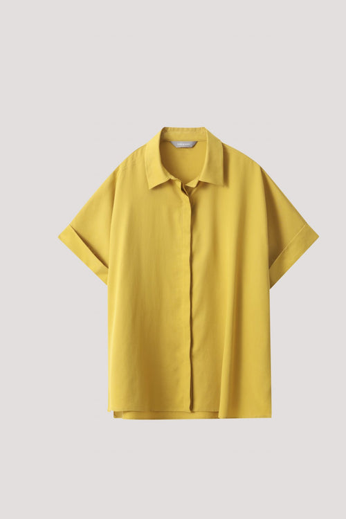 color:MUSTARD
