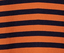 color:CAMEL