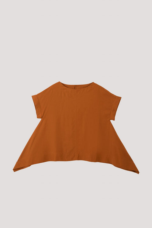 color:CAMEL