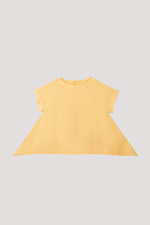 color:PALE YELLOW