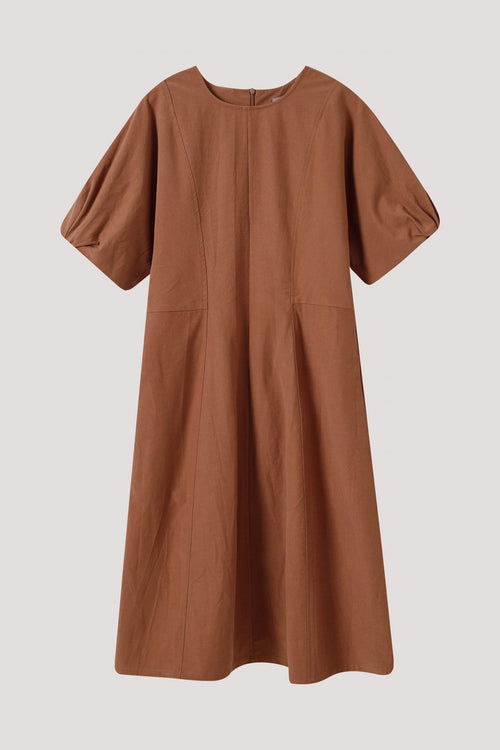 color:BROWN