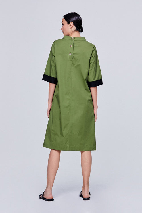 color:OLIVE