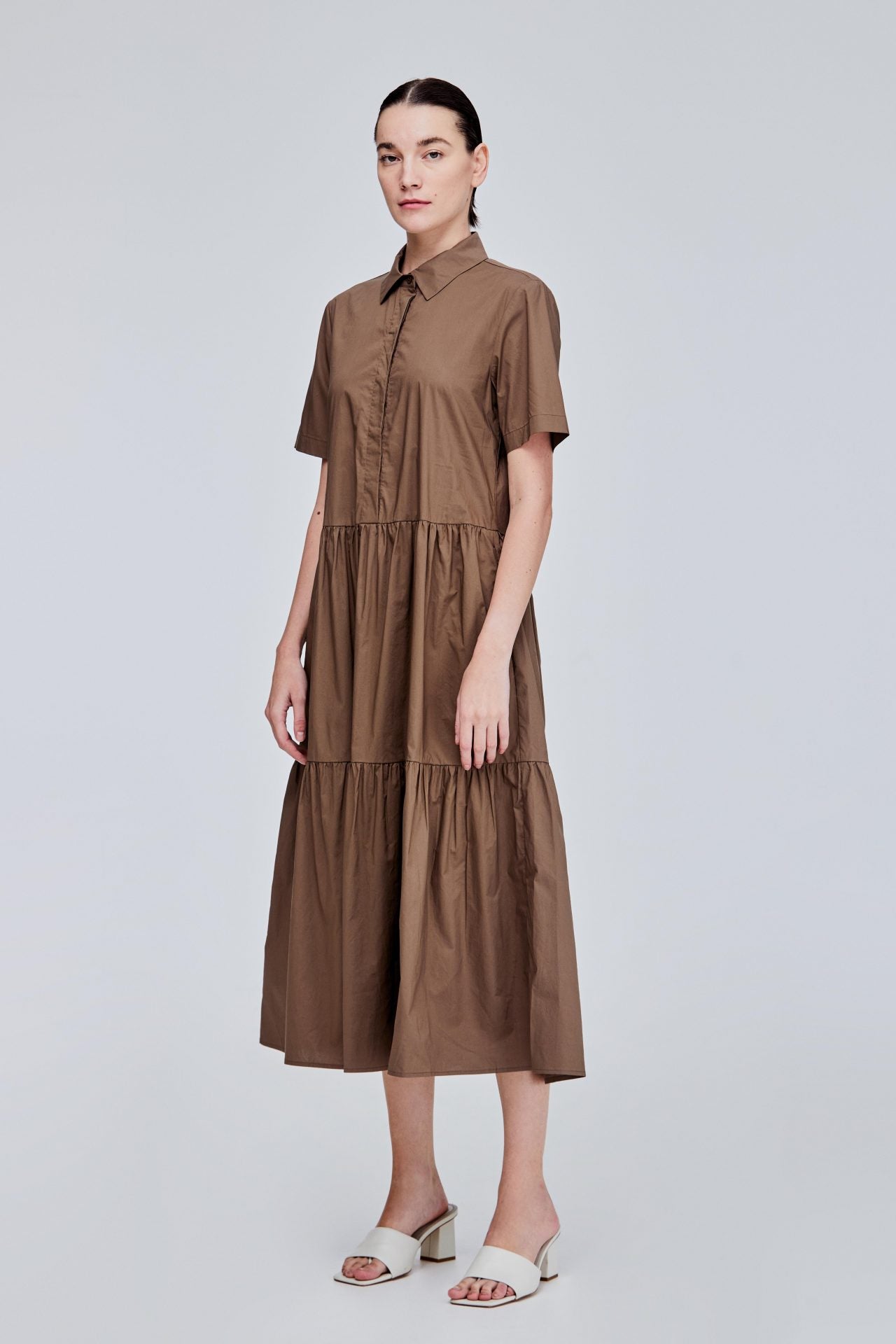 color:CEDAR