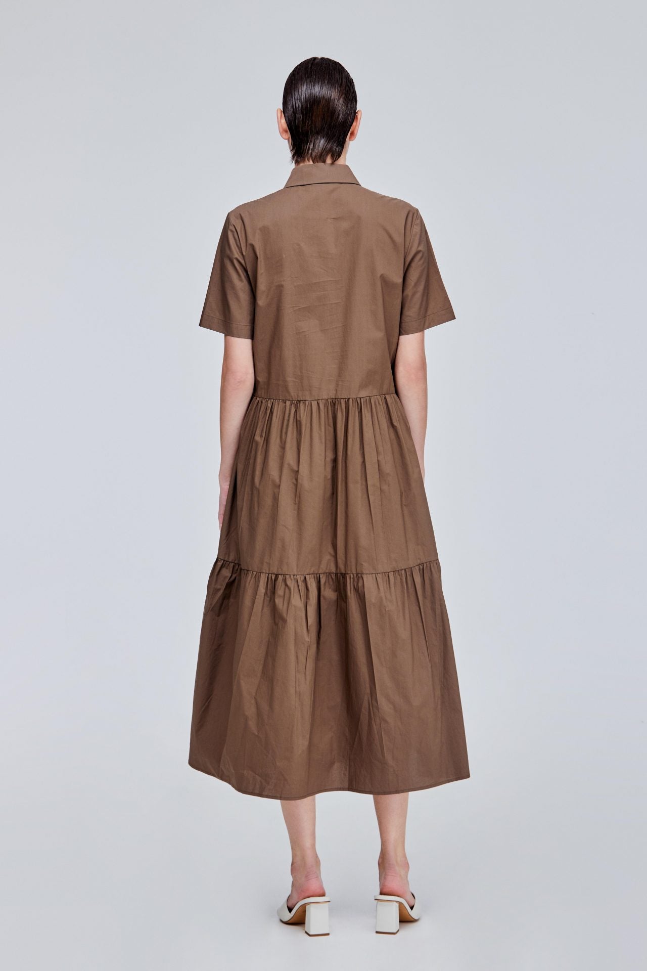 color:CEDAR
