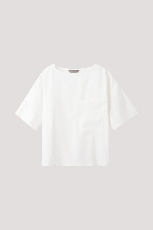 color:IVORY