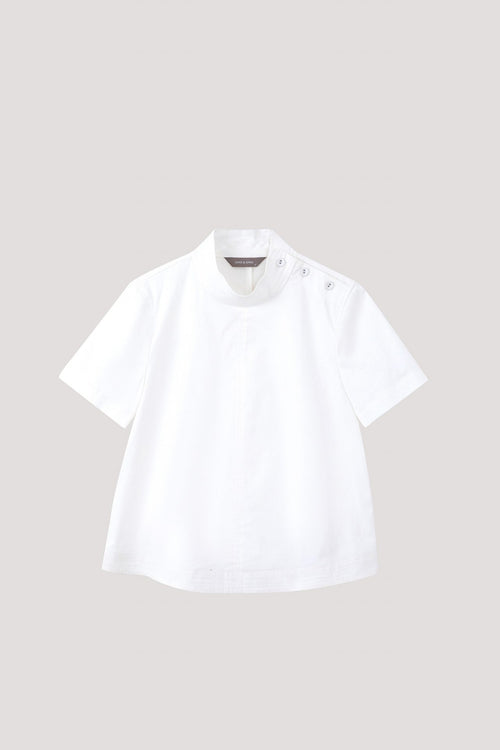 color:CREAM