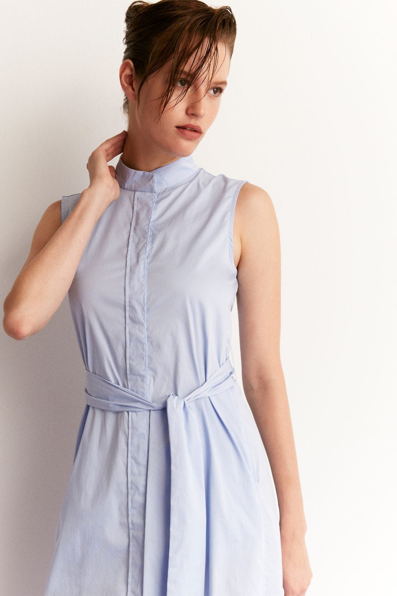 Hidden Button Placket Dress