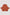 color:SALMON