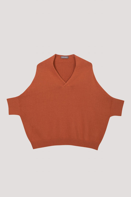 color:SALMON