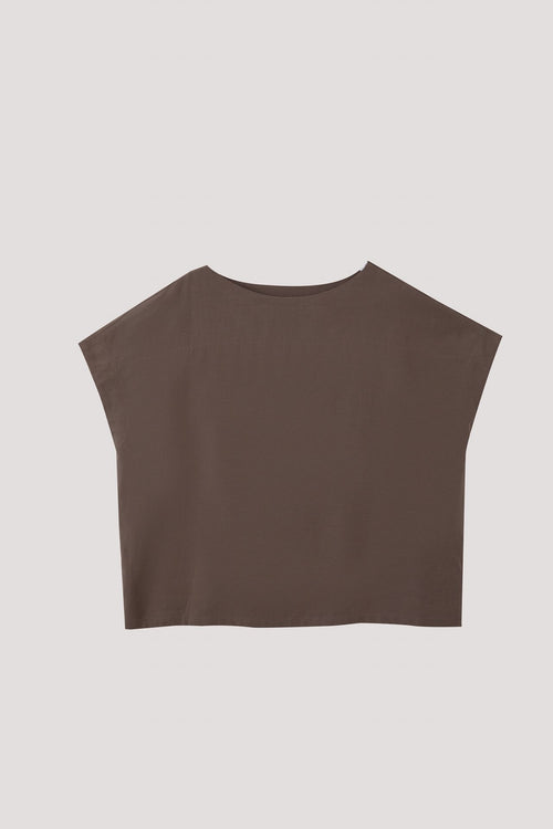 color:COCOA