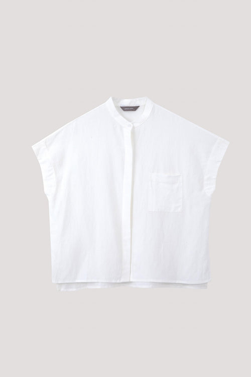color:IVORY