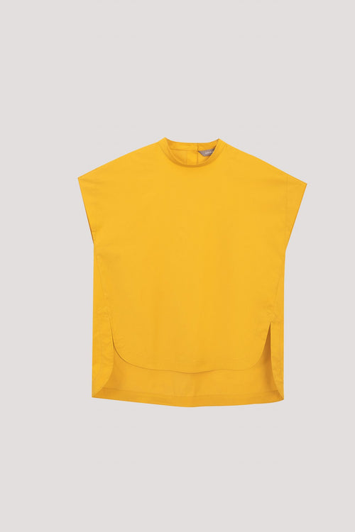 color:MUSTARD