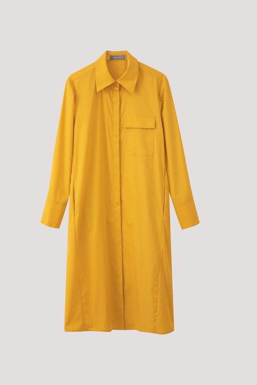 color:MUSTARD