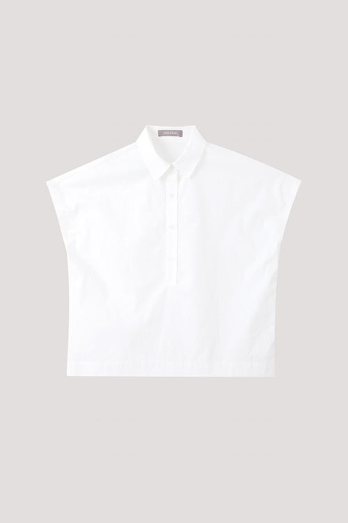 color:IVORY