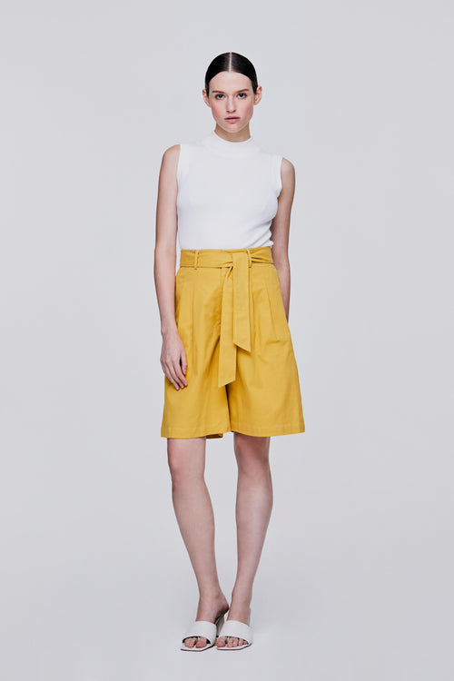 color:YELLOW