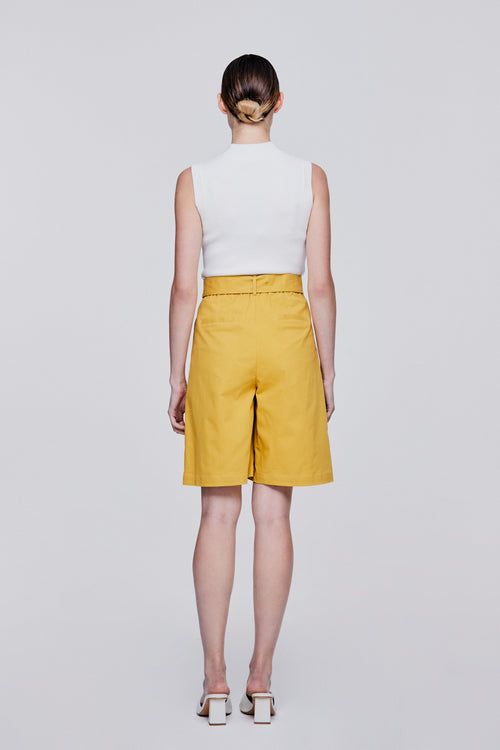color:YELLOW