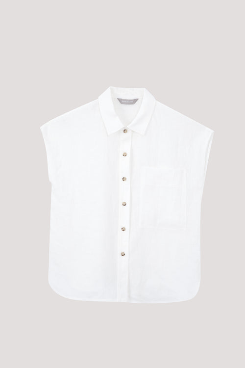 color:IVORY
