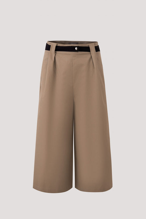 color:OCHRE