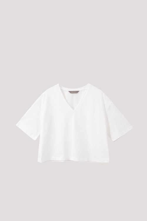 color:CREAM