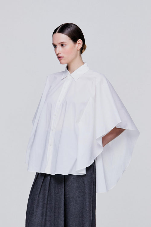 color:IVORY