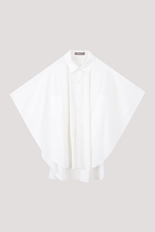color:IVORY