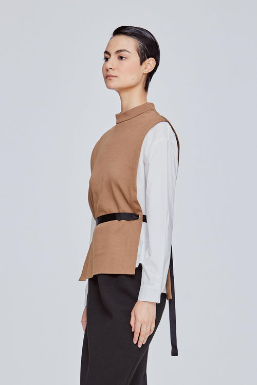 color:BROWN