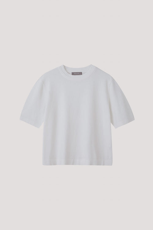 color:IVORY