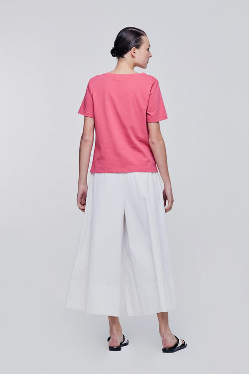 color:ROSE