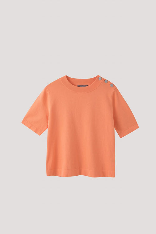 color:APRICOT