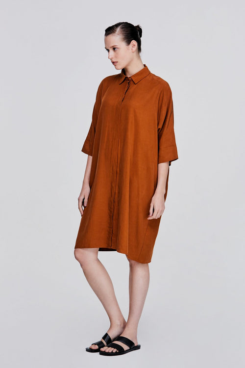 color:CAMEL