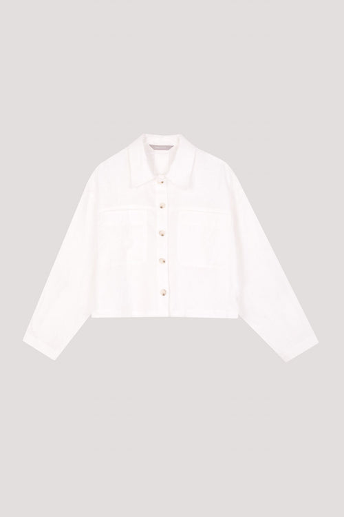 color:IVORY