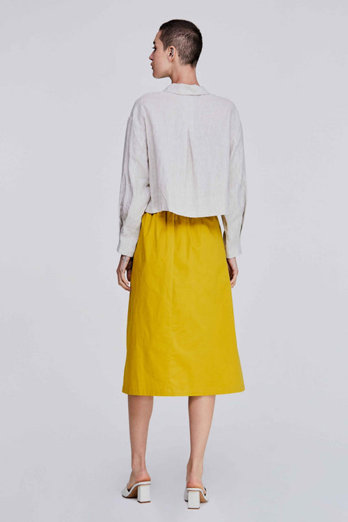 color:IVORY