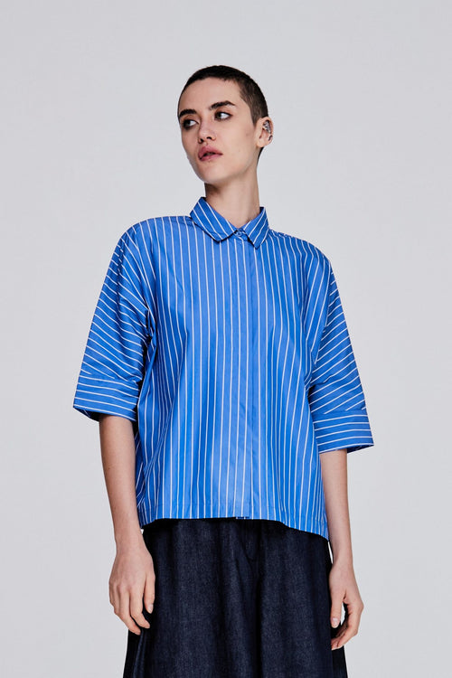 Spread Collar Stripes Blouse