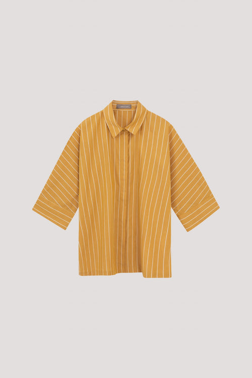 color:MUSTARD