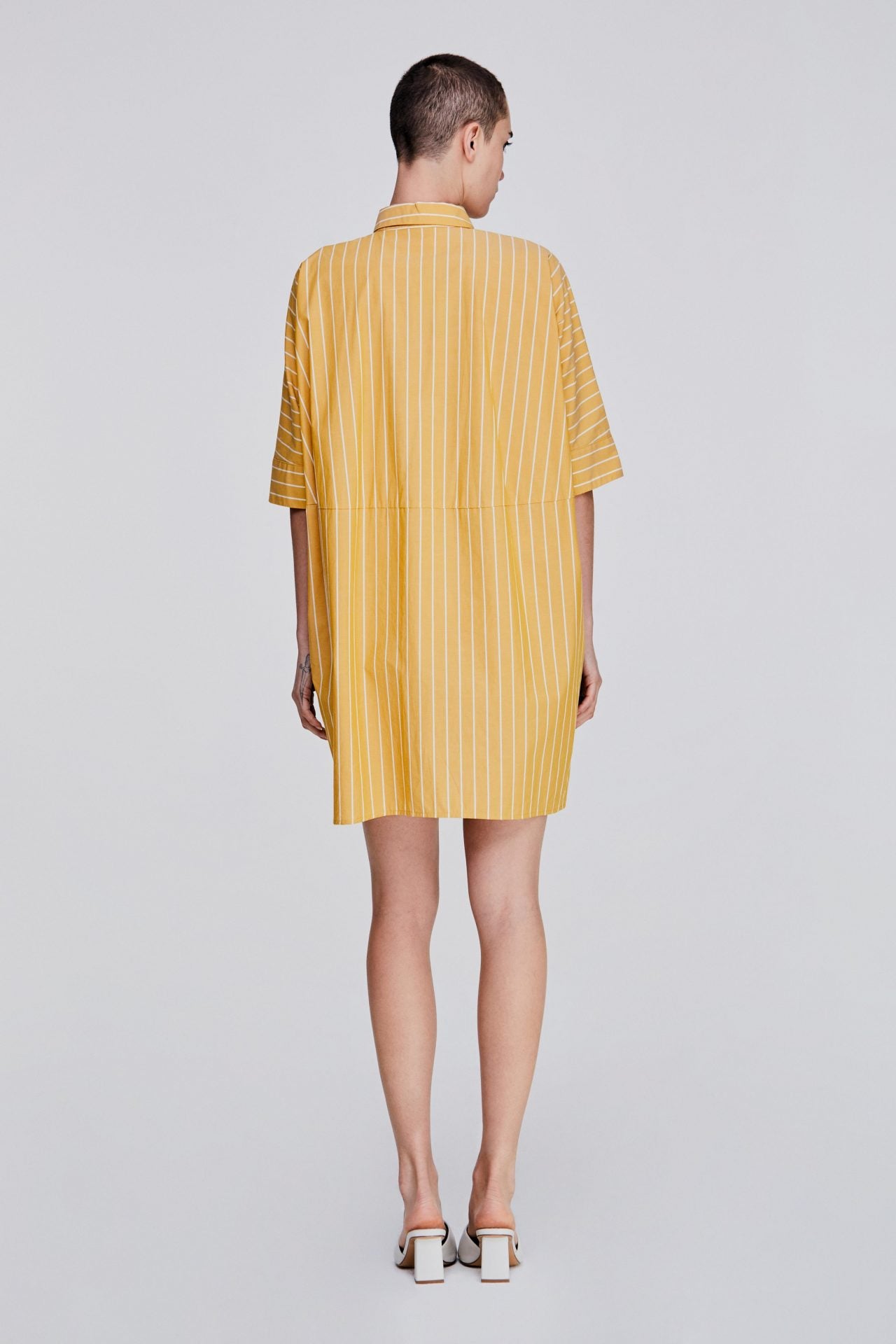 color:MUSTARD
